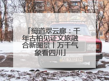蜀道翠云廊：千年古柏见证文旅融合新图景丨万千气象看四川